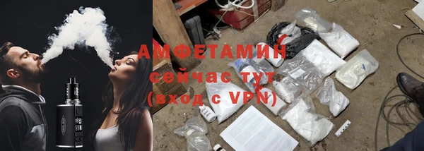 твердый Алзамай
