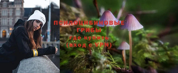 экстази Алексин