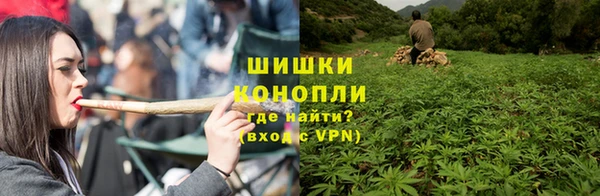 твердый Алзамай