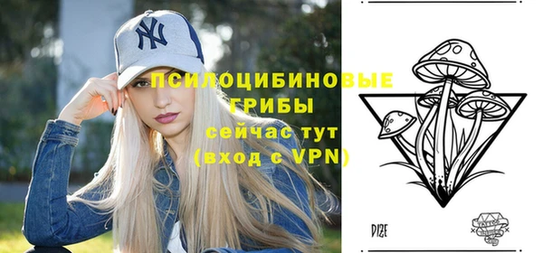 экстази Алексин
